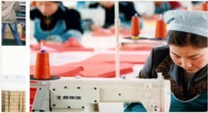 廠家批發(fā)工廠超細纖維超強吸水干發(fā)帽 蕾絲花邊干發(fā)帽 多色供選