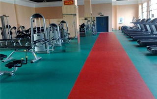 塑膠地板多少錢一平方 四大優點鑄就塑膠地板非凡品質