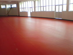 石家莊、唐山、秦皇島、邯鄲、邢臺(tái)PVC塑膠地板供應(yīng) 專(zhuān)業(yè)運(yùn)動(dòng)場(chǎng)地解決方案